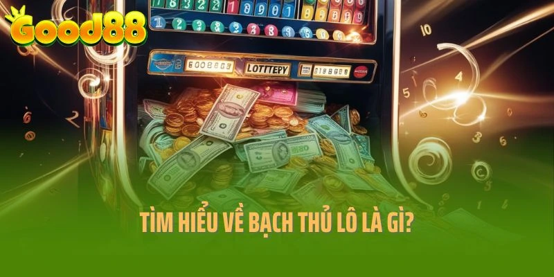 Tìm hiểu về bạch thủ lô là gì?