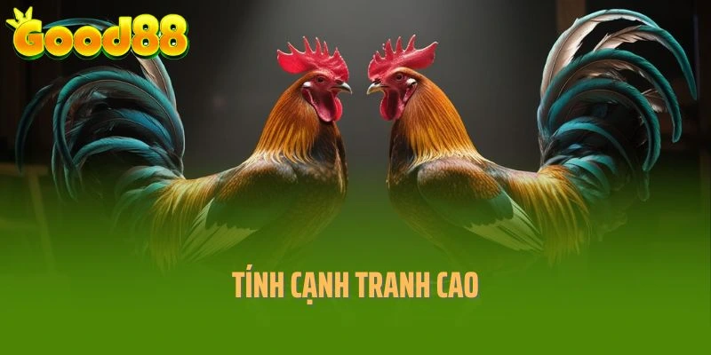 Tính cạnh tranh cao