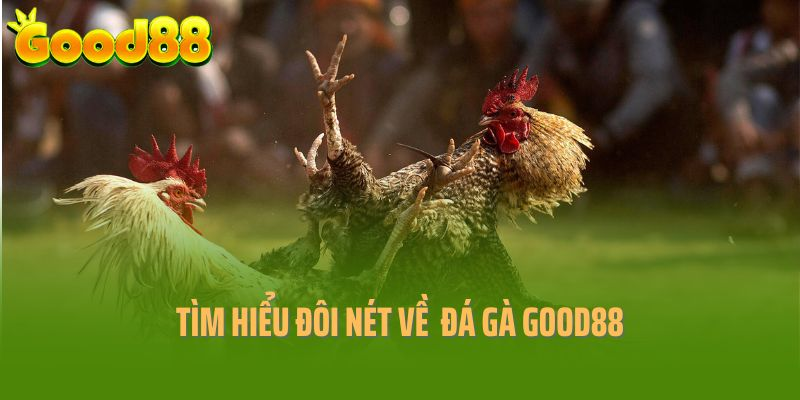 Tìm hiểu một số thông tin về sảnh cược đá gà Good88