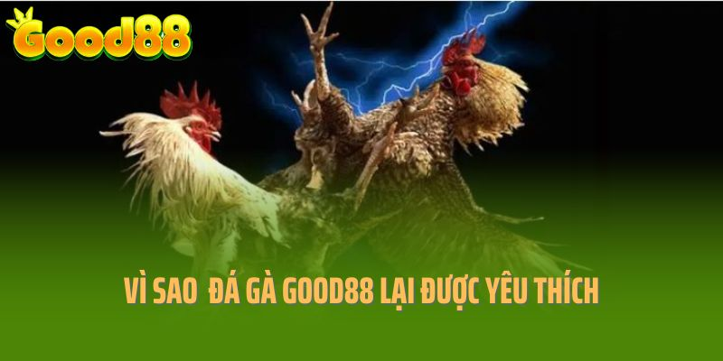 Vì sao sân chơi đá gà Good88 lại đông cược thủ tham gia?