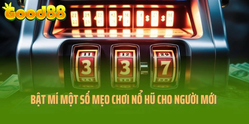 Bật Mí Một Số Mẹo Chơi Nổ Hũ Cho Người Mới Bắt Đầu