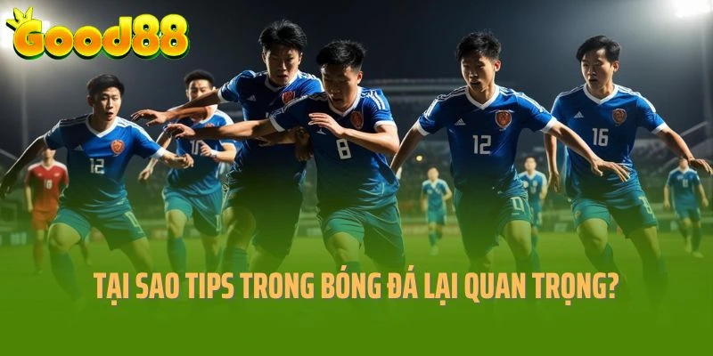 Tại sao tips trong bóng đá lại quan trọng?